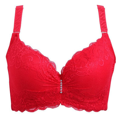 2024 Sexy lace bra CUP SIZE CDE