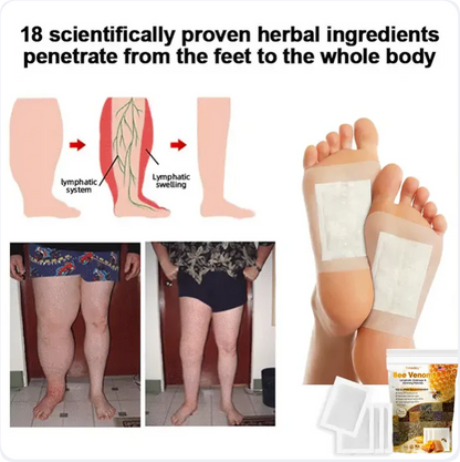 Bee Venom Lymphatic Daiamage & Sliming Patches